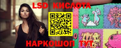 PSILOCYBIN Краснодар
