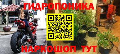 альфа пвп Краснознаменск
