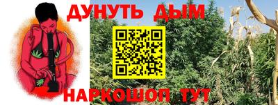PSILOCYBIN Краснодар