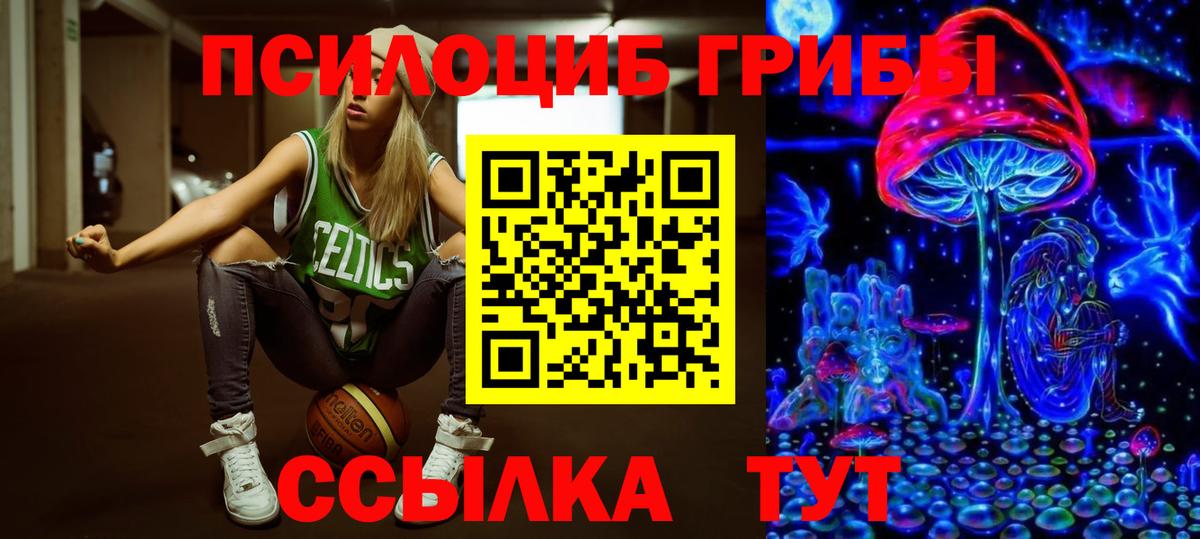 купить закладку  Псилоцибиновые грибы Cubensis  Вход с VPN  Ступино  Галлюциногенные грибы Magic Shrooms 